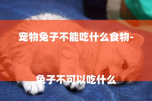 寵物兔子不能吃什么食物-
兔子不可以吃什么