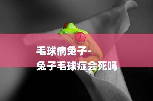 毛球病兔子-
兔子毛球癥會死嗎