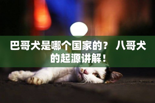 巴哥犬是哪個國家的？ 八哥犬的起源講解！