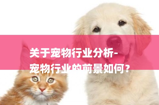 關于寵物行業分析-
寵物行業的前景如何？