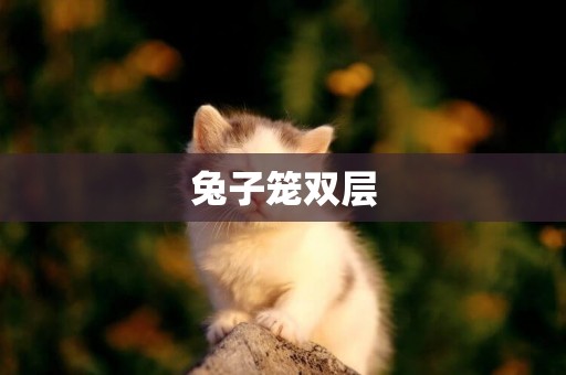 兔子籠雙層
