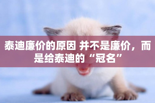 泰迪廉價的原因 并不是廉價，而是給泰迪的“冠名”