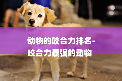 動物的咬合力排名-
咬合力最強的動物