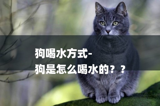 狗喝水方式-
狗是怎么喝水的？？