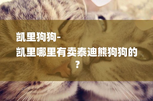 凱里狗狗-
凱里哪里有賣泰迪熊狗狗的？