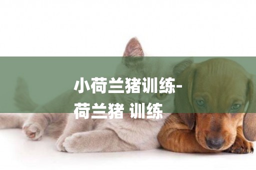小荷蘭豬訓練-
荷蘭豬 訓練