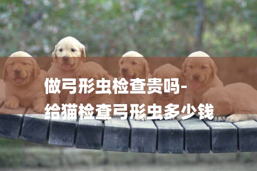 做弓形蟲檢查貴嗎-
給貓檢查弓形蟲多少錢