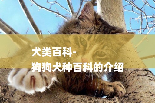 犬類百科-
狗狗犬種百科的介紹