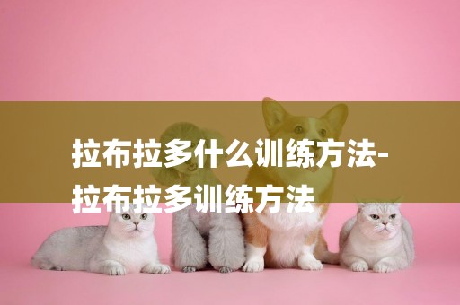 拉布拉多什么訓練方法-
拉布拉多訓練方法