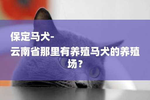 保定馬犬-
云南省那里有養殖馬犬的養殖場？