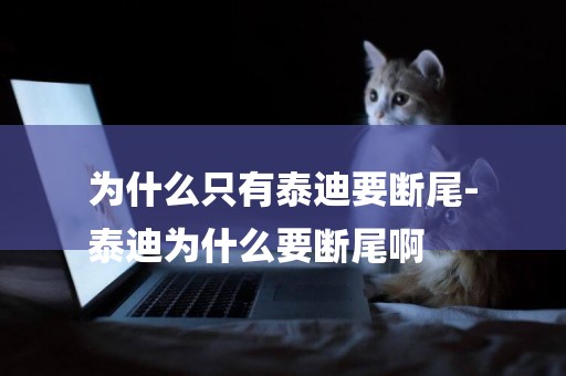 為什么只有泰迪要斷尾-
泰迪為什么要斷尾啊
