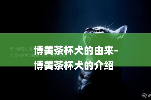 博美茶杯犬的由來-
博美茶杯犬的介紹
