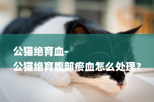 公貓絕育血-
公貓絕育腹部瘀血怎么處理？