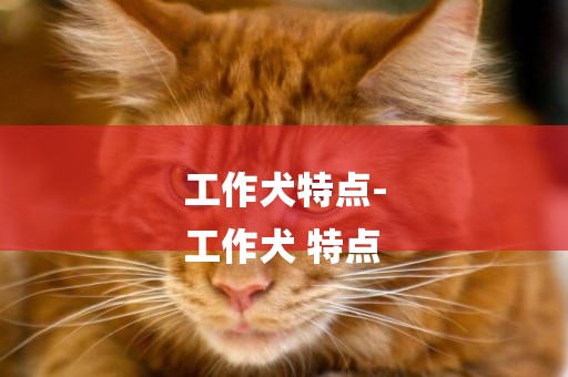 工作犬特點-
工作犬 特點
