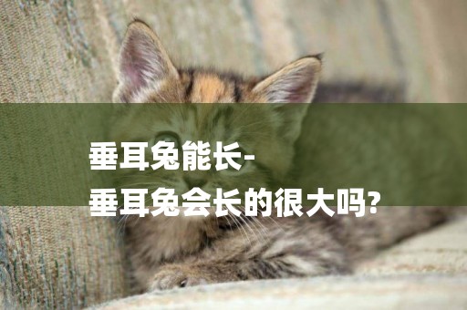 垂耳兔能長-
垂耳兔會長的很大嗎?