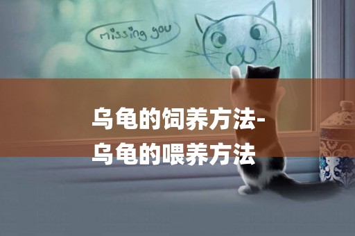 烏龜的飼養方法-
烏龜的喂養方法