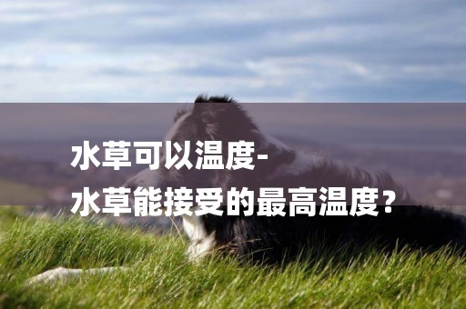 水草可以溫度-
水草能接受的最高溫度？