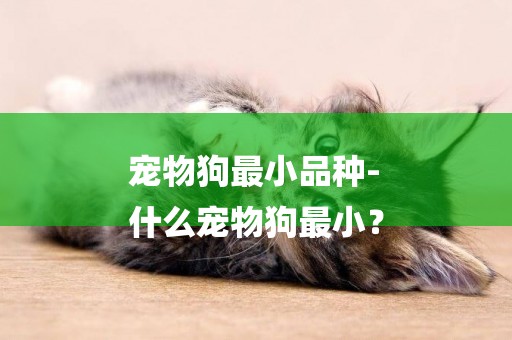寵物狗最小品種-
什么寵物狗最小？