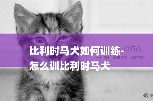 比利時馬犬如何訓練-
怎么訓比利時馬犬