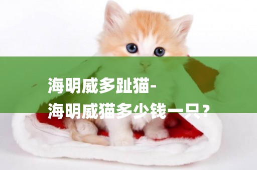 海明威多趾貓-
海明威貓多少錢一只？