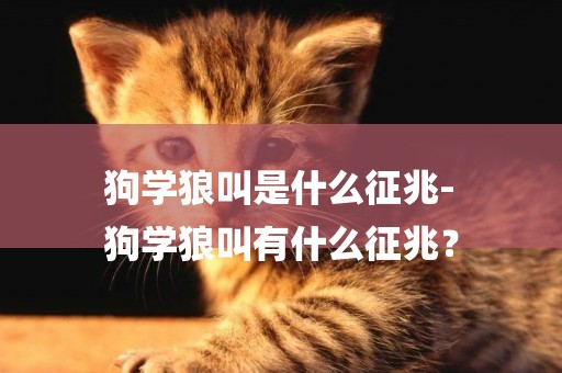 狗學狼叫是什么征兆-
狗學狼叫有什么征兆？