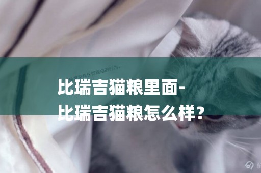 比瑞吉貓糧里面-
比瑞吉貓糧怎么樣？
