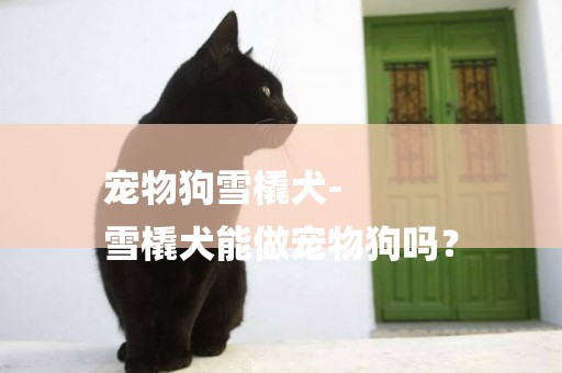 寵物狗雪橇犬-
雪橇犬能做寵物狗嗎？