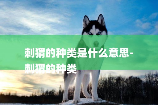 刺猬的種類是什么意思-
刺猬的種類