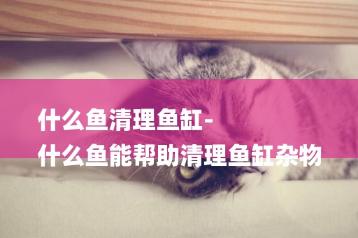 什么魚清理魚缸-
什么魚能幫助清理魚缸雜物