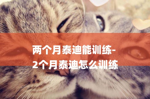 兩個月泰迪能訓練-
2個月泰迪怎么訓練