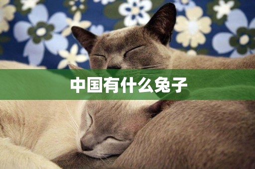 中國有什么兔子