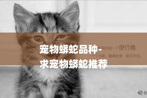 寵物蟒蛇品種-
求寵物蟒蛇推薦