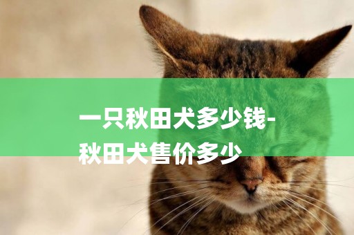 一只秋田犬多少錢-
秋田犬售價多少