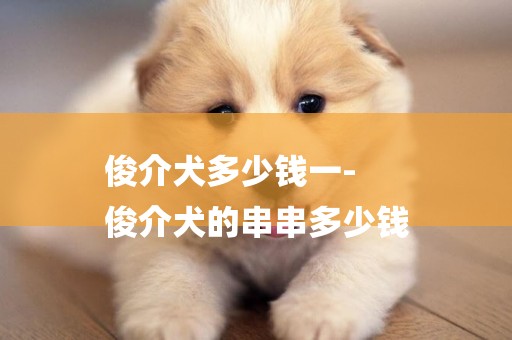 俊介犬多少錢一-
俊介犬的串串多少錢