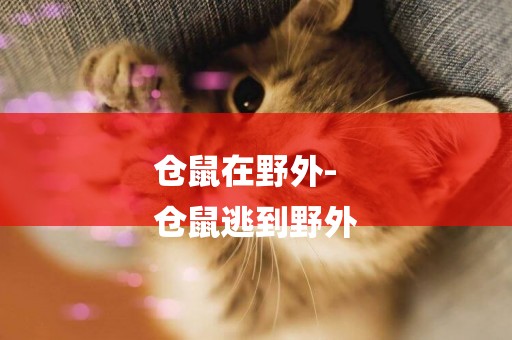 倉鼠在野外-
倉鼠逃到野外