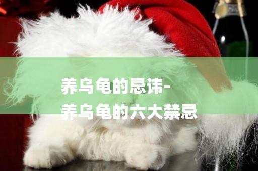 養烏龜的忌諱-
養烏龜的六大禁忌