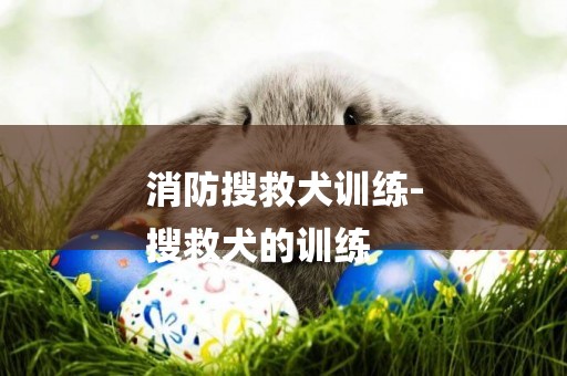 消防搜救犬訓練-
搜救犬的訓練