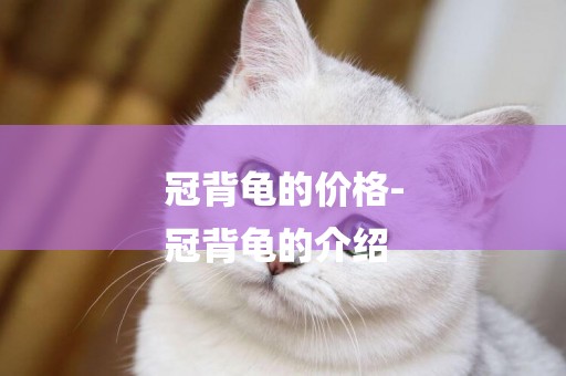 冠背龜的價格-
冠背龜的介紹