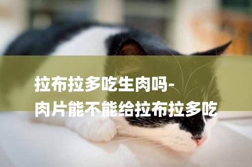 拉布拉多吃生肉嗎-
肉片能不能給拉布拉多吃