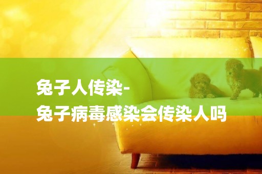 兔子人傳染-
兔子病毒感染會傳染人嗎