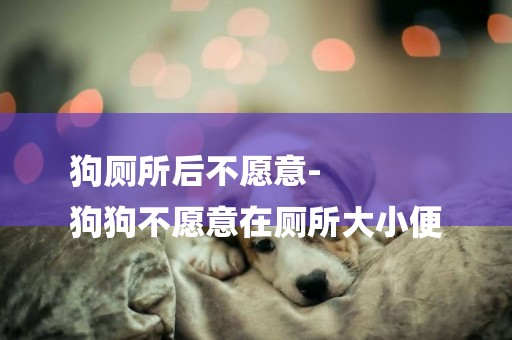狗廁所后不愿意-
狗狗不愿意在廁所大小便