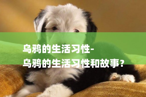 烏鴉的生活習性-
烏鴉的生活習性和故事？