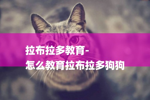 拉布拉多教育-
怎么教育拉布拉多狗狗