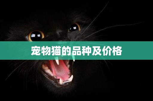 寵物貓的品種及價格