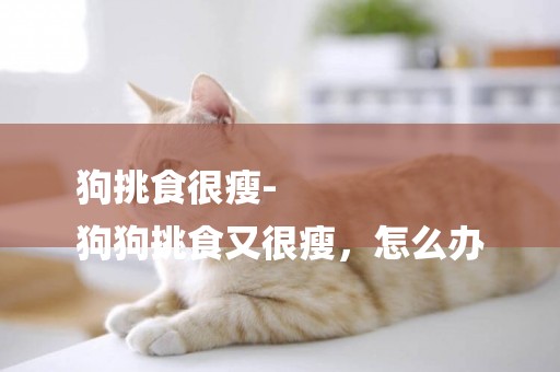 狗挑食很瘦-
狗狗挑食又很瘦，怎么辦