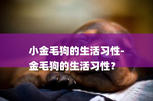 小金毛狗的生活習性-
金毛狗的生活習性？