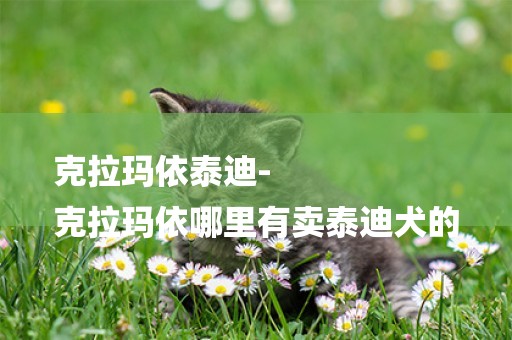 克拉瑪依泰迪-
克拉瑪依哪里有賣泰迪犬的