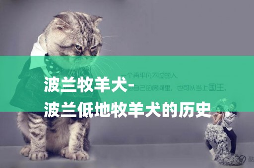 波蘭牧羊犬-
波蘭低地牧羊犬的歷史