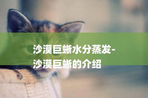 沙漠巨蜥水分蒸發-
沙漠巨蜥的介紹