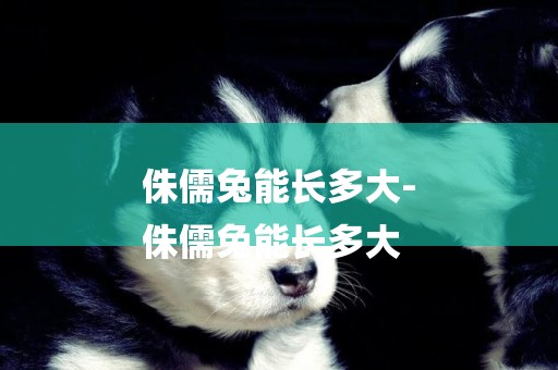 侏儒兔能長多大-
侏儒兔能長多大